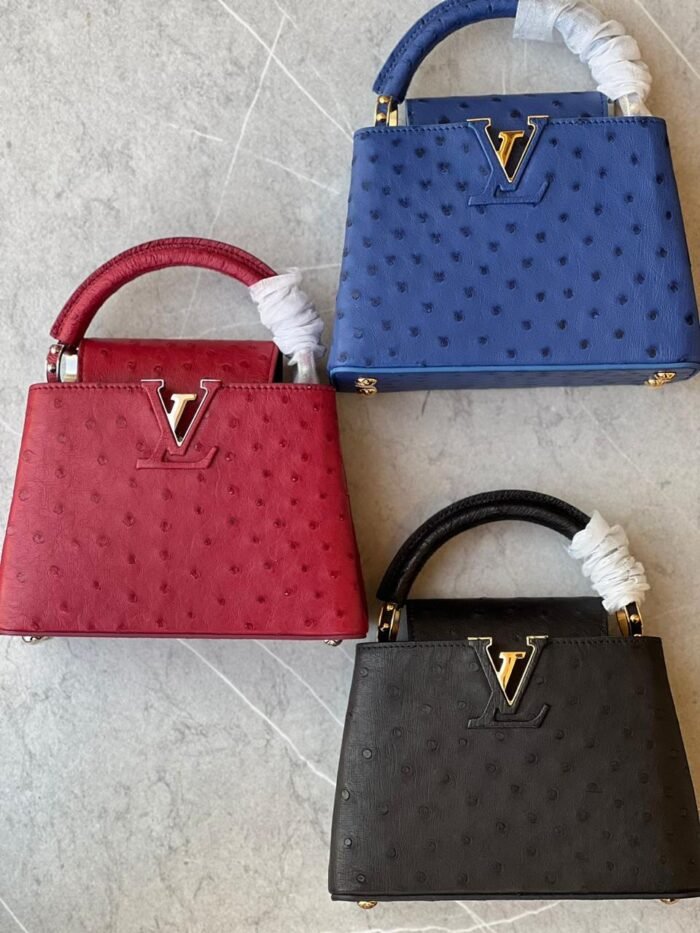 LOUIS VUITTON CAPCIN 21CM REAL OSTRICH LEATHER - Image 1