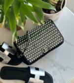 CHANEL 20CM