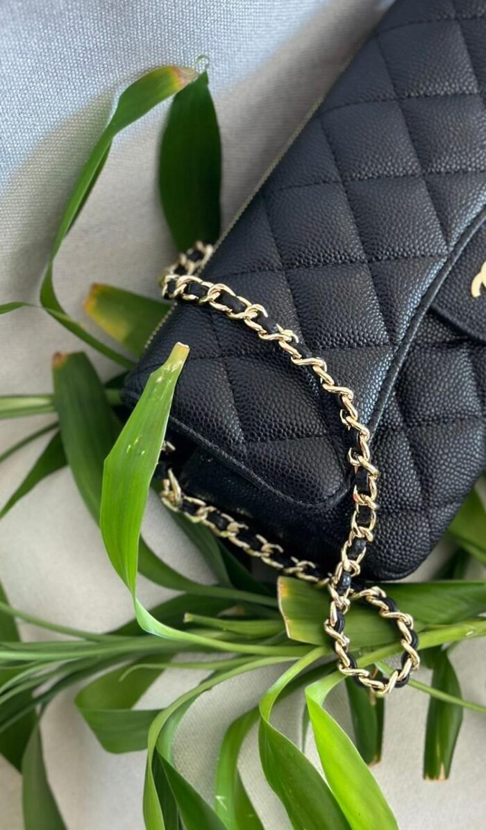 ⁦CHANEL WOC 18CM⁩ - الصورة ⁦3⁩